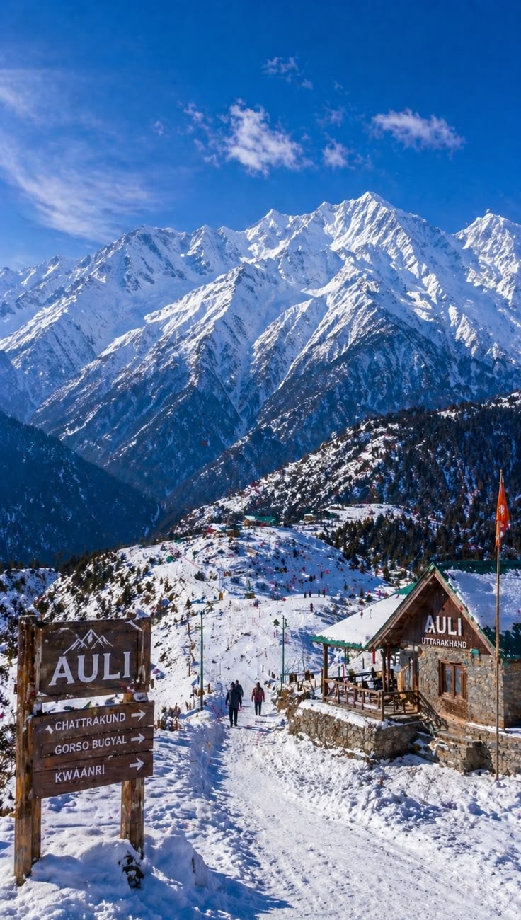 Auli Sightseeing & Snow Experience